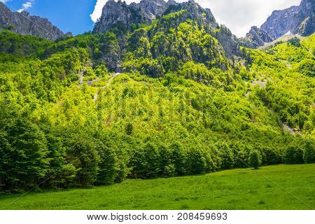 Picturesque Meadows And Forests Are Located Among The High Mountains.