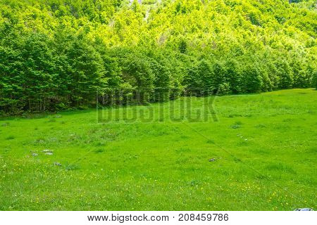 Picturesque Meadows And Forests Are Located Among The High Mountains.