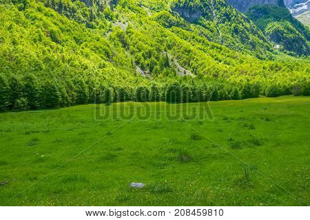 Picturesque Meadows And Forests Are Located Among The High Mountains.