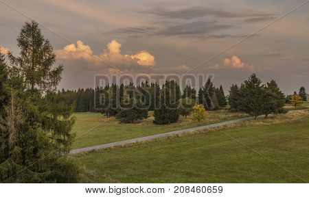 Color evening with road in Slavkovsky les national park in autumn time