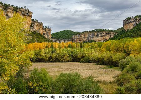Vertical rocks and autunm landscape with yellow trees in Cuenca n2
