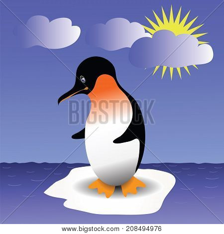 Young Penquin Stands on an Ice Floe in The Open Ocean
