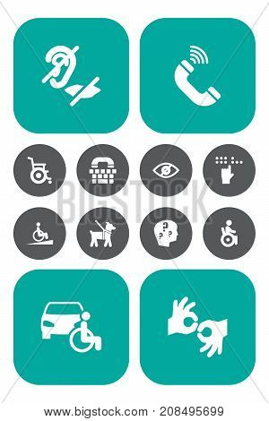 Collection Of Blindness, Mute, Braille And Other Elements.  Set Of 12 Accessibility Icons Set.
