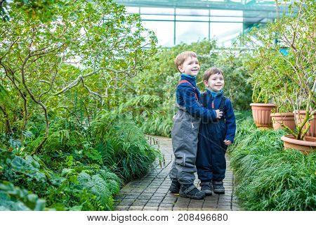 Two Boys Brothers Friends Having Fun In Greenhouse. Azalea Winter Garden. Kids And Family