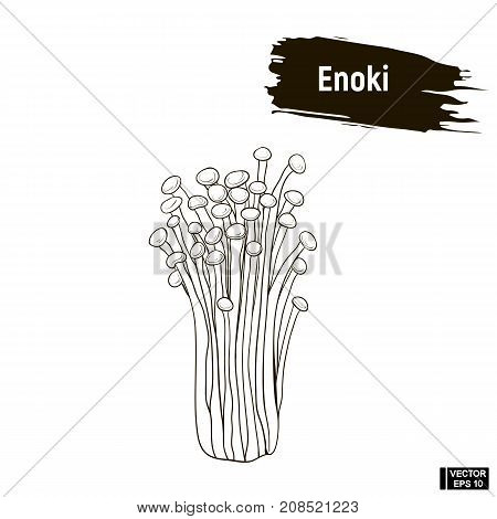 Outline Mushrooms, Enoki Sketch.