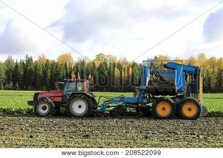 SALO FINLAND - OCTOBER 6 2017: Farmer harvests sugar beet with red Valtra Valmet tractor and Edenhall 733 beet harvester on a sunny day of October in South of Finland.