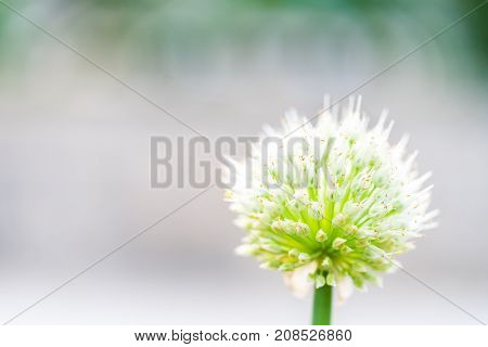 Outside of a green grass in the park