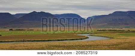 Rural landscape in Nordurland. Iceland. Scene near Varmahlid.