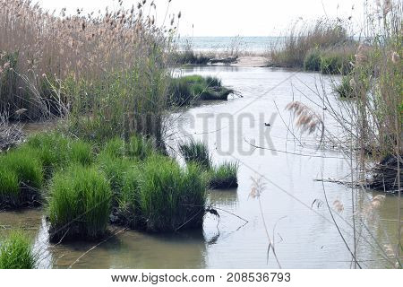 Rio Llobregat delta desenbocadura to the sea in Barcelona