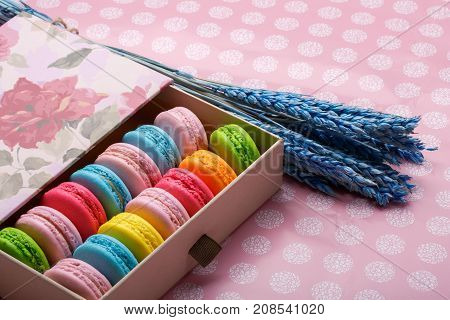 Colorful macaroons on pink background. Sweet macarons in gift box. Place for text