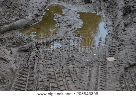 Traces of the car in a dirty puddle