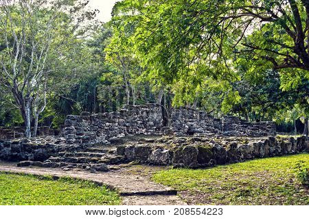 Mayan Ruins in San Gervasio,Cozumel, Mexico