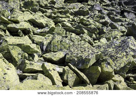 Mountains Gorgan In The Carpathian Mountains In Ukraine. A Lot O