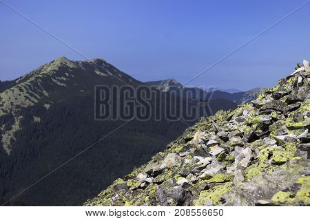 Mountains Gorgan In The Carpathian Mountains In Ukraine. A Lot O