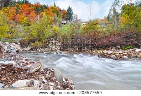 autumn landscape of Karditsa forest with river Thessaly Greece - long exposure photography