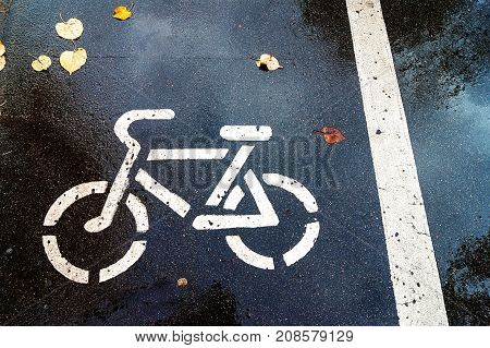 Bicycle sign on wet asphalt after raining