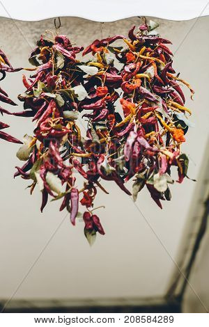 Lot of hanging dried chili as a food background. Red dry Chili pepper background. Hot red chili peppers drying.