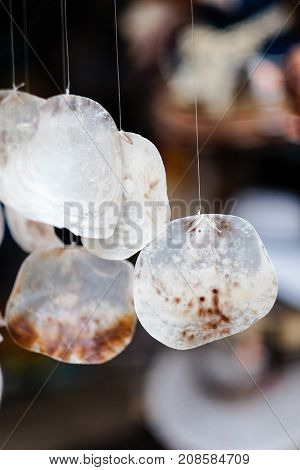 Decorative white abalone shells. handmade abalone shell for decoration