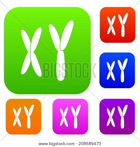 Human chromosomes set icon color in flat style isolated on white. Collection sings vector illustration