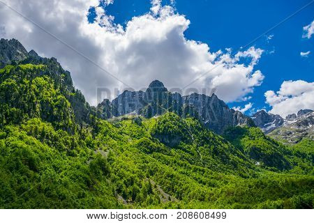 Scenic Forest And Meadows Among The High Snow-capped Mountains.