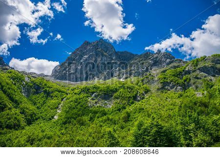 Scenic Forest And Meadows Among The High Snow-capped Mountains.