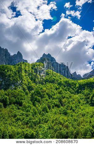 Scenic Forest And Meadows Among The High Snow-capped Mountains.