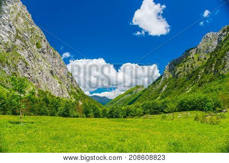 Scenic Forest And Meadows Among The High Snow-capped Mountains.