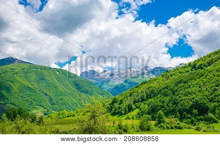 Scenic Forest And Meadows Among The High Snow-capped Mountains.