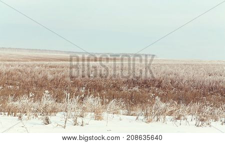 scenic winter landscape. view field with snow