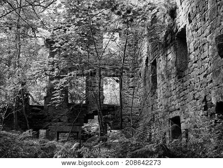monochrome image of the derelict staups mill a large ruin in woodland in calderdale west yorkshire