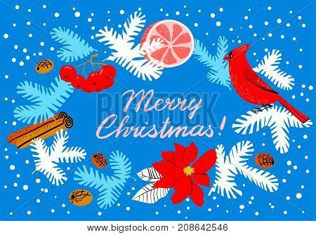 Christmas wreath with poinsettia red flower. Winter floral background with cardinal bird grapefuit canella pine tree and rowan branches. Seasonal design for tags backdrops placards cards. Merry Christmas lettering