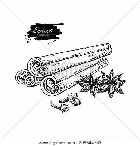 Cinnamon stick tied bunch, anise star and cloves. Vector drawing. Hand drawn sketch. Seasonal food illustration isolated on white. Engraved style spice and flavor object. Cooking, aromaterapy and mulled wine ingredient.