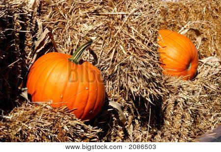 Fall Pumpkins 1