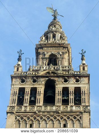 view dive against the facade of a church in seville ( spain )