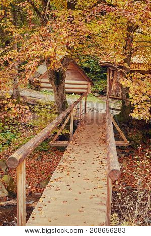 Autumn landscape - wooden bridge in the autumn park among the yellowed trees and fallen leaves