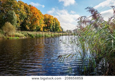 Reflection Of Autumn Forest In The Lake.