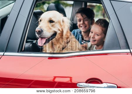 happy kids sitting on backseats in car with dog