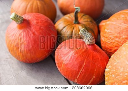 Farmer Market, Thanksgiven Harvest Of Orange Pumpkins.