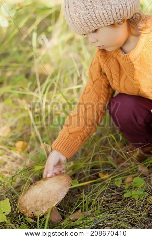 Child at the forest discovering nature touching mushroom. Kid at the wild forest concept little mushroomer.