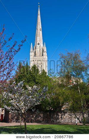 Norwich cathedral in spring