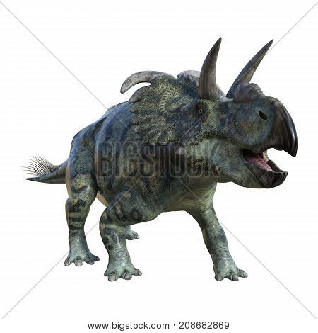3D Rendering Dinosaur Albertaceratops On White