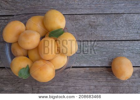 Ripe orange apricots in the plastic plate on grey wooden background