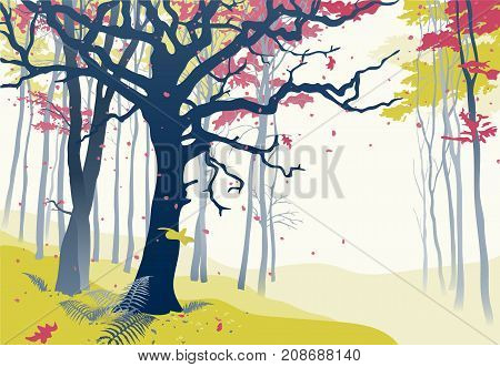 Forest-fall