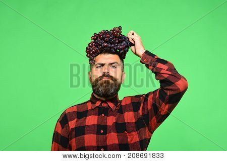Man With Beard Holds Bunch Of Purple Grapes On Head