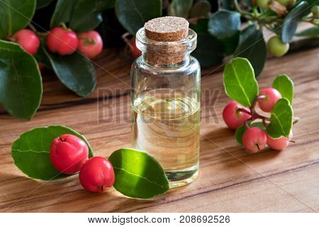 A Bottle Of Wintergreen Essential Oil On A Wooden Table