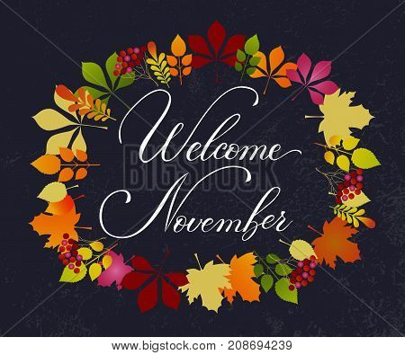 Vector lifestyle lettering hello November. Brush ink typography for photo overlays t-shirt print poster design logo banner.