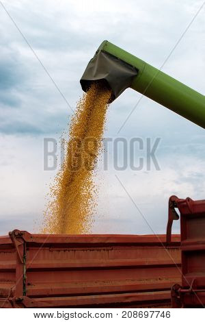 Combine harvester auger unloading harvested corn into tractor trailer. Agricultural machinery and equipment work in the field of cultivated maize crop.