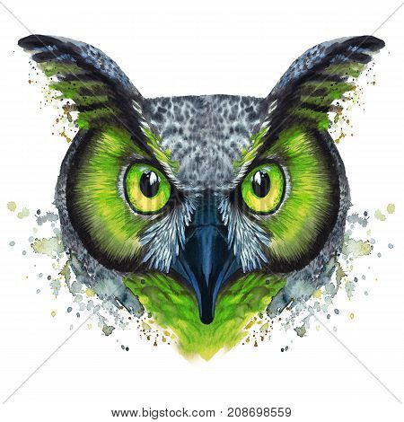 Drawing painted by watercolor night bird of prey owl, with bright coloring green eyes