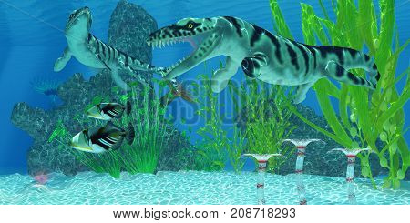 Dakosaurus Marine Habitat 3d illustration - Two Picasso Triggerfish swim away from the Dakosaurus marine reptiles who may threaten their existence.