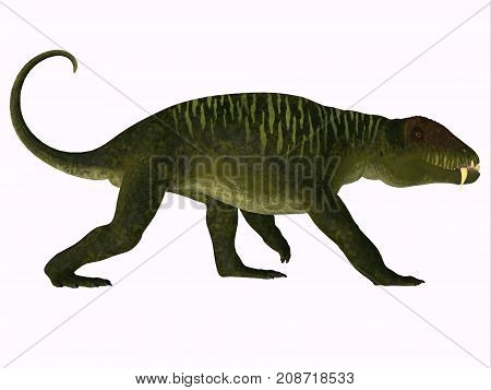 Doliosauriscus Dinosaur Side Profile 3d illustration - Doliosauriscus is an extinct genus of therapsid carnivorous dinosaur that lived in Russia in the Permian Period.